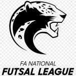 National Futsal League