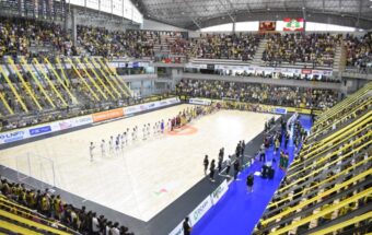 Professionalisation and Structural Change in Futsal Leagues